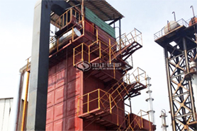 國內最大導熱油鍋爐投入運行！