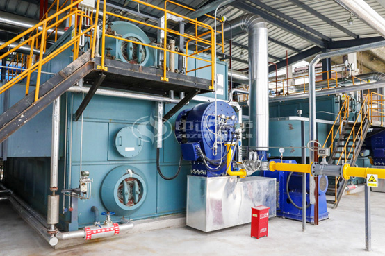 海大集團25噸和20噸SZS系列環保型燃氣蒸汽鍋爐項目